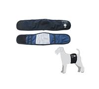 Camon - Fascia X Cani Maschi Blu Tg.XS C220/1