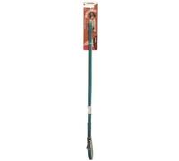 Camon Guinzaglio Linea Bicolor Verde Acqua 25x1200 mm