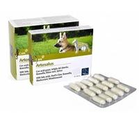 Camon Orme Nat Artosalus 60 Compresse