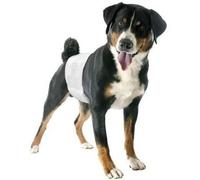 Camon Pannolini a Fascia Elastica per Cani Maschi TAGLIA S 12 pz