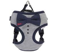 Camon Pettorina per Cani Grigia con Fiocco Blu "Love"