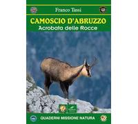 Camoscio d'Abruzzo. Acrobata delle rocce