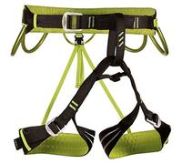 CAMP - ALPINE FLASH - L