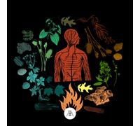 Camp of Wolves Bear Creek (CD) Album