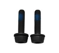 Campagnolo 15-19mm Rear Mount Screws 24mm x2