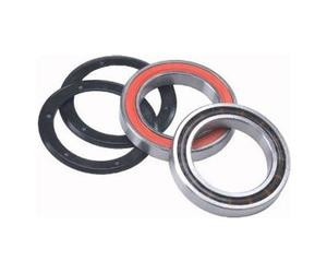 Campagnolo bearing for ultra torque