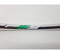 CAMPAGNOLO Cerchio 26 MTB STENO Polish 32F Argento Etichetta Verde