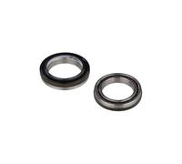 Campagnolo Ek009 Bottom Bracket Bearing 2 Units Argento