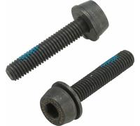 Campagnolo H11 Disco Calibro Viti di Montaggio 2x24mm per 15-19mm Posteriore