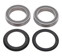Campagnolo Power-Torque Bearings/Seals Set (2pcs)
