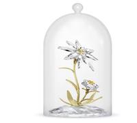 Campana di vetro con stella alpina Swarovski Florere 130° anniversario 5701376