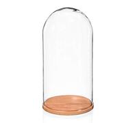 Campana grande in vetro con base in faggio naturale, altezza 40 x 15 cm