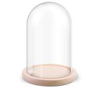 Campana in vetro con fondo in legno, decorazione a cupola in vetro, base in legno naturale, 12 x 18 cm, scatola trasparente e decorativa, regalo