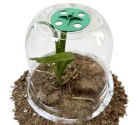 Campana trasparente per piante, protezione traspirante per piantine, copertura impermeabile da giardino con struttura leggera, protezione per piante per verdure e fiori, facile da installare