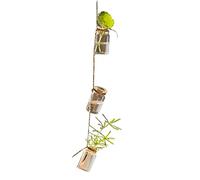 Campanella eolica, Campanelli eolici con bottiglie di piante artificiali, campanelli for decorazioni verdi da appendere all'esterno e commemorative