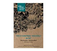 Campanella tricolore 'Heavenly Blue' (Ipomoea tricolor) - circa 50 semi