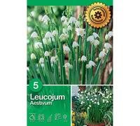 Campanelle Eastivum 5 pz Bianco