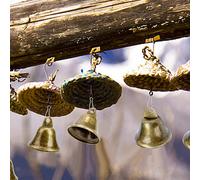 Campanellini fai da te in bronzo, design vintage per l'addestramento del