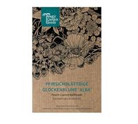 Campanula 'Alba' (Campanula persicifolia) circa 750 semi di erbacea perenne, fiore reciso, pianta da compagnia per rose