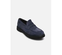 Norman K101001 by Camper 45 Blu