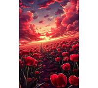 Campi di tulipani rossi - Puzzle 4000 Pezzi - Puzzle Fai da te 148x105 cm,Intrattenimento Creativo - Puzzle Per Adulti E Tutta La Famiglie