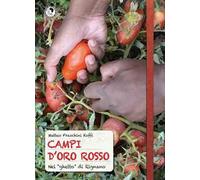 Campi d'oro rosso. Nel «ghetto» di Rignano