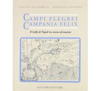 Campi Flegrei. Campania Felix. Il golfo di Napoli tra storia ed eruzioni. Guida alle escursioni dei vulcani napoletani
