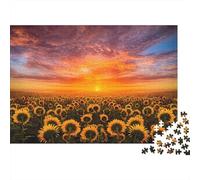 Campi girasole Puzzles 1000 Pezzi In Tramonto campi cartone Spesso, Un Puzzles Per Enigma Per Il Relax Mentale, Ideale Per Partita Puzzle Game, Puzzle 70x50cm/1000