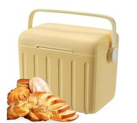 Camping Cooler - Small Cold Insulation Box | Portable Car Cooler | 6L Capacity, with Ice Packs, for Outdoor Fishing Camping Picnic Sports Events Food Delivery Breast Milk Preservation Vaccine Storage