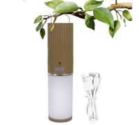 Camping Lights For Outside - Ambient Lights Portable Tent String | Outdoor Light With Several Light Mode | Camping Accessories For Backpacking, Hiking, RV, Patio, Picnic | Impermeabile LED Lante