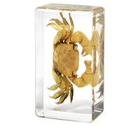 Campione di granchio conservato in resina, display trasparente, vero granchio racchiuso, display educativo scientifico, decorazione da scrivania, fermacarte, 7,3 x 4,1 x 2 cm