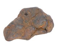 Campione Didattico di Meteorite per Educazione Scientifica | Piccolo e Leggero, per Feste di Compleanno e Decorazione Tavolo, Adatto a Insegnanti