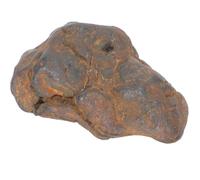 Campione Meteorite Irregolare per Scienza e Insegnamento