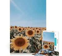 Campo di girasoli sotto un cielo blu Puzzle da 1000 pezzi per adolescenti Migliora la memoria Gioco rilassante Bordo ordinato Articolo dei desideri di Babbo Natale 50x75cm