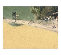 Campo di grano busch h0