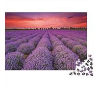 Campo di lavanda tramonto Puzzle 1000 pezzi per serata di gioco per adulti Campo di lavanda viola al tramonto Premium robusto vibrante stimolante difficile antistress 70x50cm/1000pz