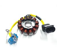 CAMPO MAGNETICO STATORE ORIGINALE PIAGGIO LIBERTY 125 150 200 2004 05 06 07 08