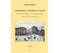 Campobasso e Provincia di Molise: Personaggi, fatti di cronaca e avvenimenti del passato, sconosciuti, poco noti o dimenticati: Vol. II