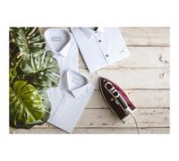 Ferro da stiro a vapore Adler 3000W Melanzana