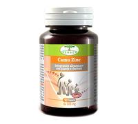 Camu zinc renaco 90 compresse