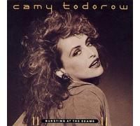 CAMY TODOROW - bursting at the seams