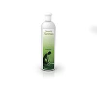 Camylle - Profumo per bagno di vapore Arancia Cannella - A base di oli essenziali per stanze di vapore, bagni di vapore o docce a vapore - Confortante con aromi caldi e speziati - 500ml