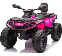 Can-Am Renegade 24V Quad Elettrico per Bambini a 2 Posti ATV con Ruote in Gomma