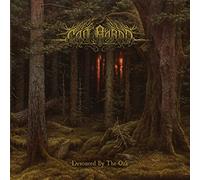 Can bardd - Devoured by the oak