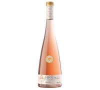 Can Rich Bes Vino de la Tierra de Ibiza IGP 2024 0,75 l
