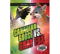 Canada Goose Vs. Gray Fox