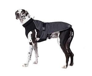 Canada Pooch Cp01377 - Cappotto da espansione, grigio, taglia 10