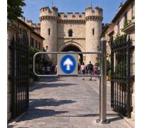 Cancello a Battente Automatico D'accesso, Larghezza 60 70 80 90 100 110 cm | Porta Unidirezionale in Acciaio Inox per Negozi o Magazzini; Varco Universale a Battente Singolo