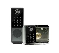 Cancello da giardino esterno con doppia impronta digitale, serratura Tuya o TTLock, codice di accesso tramite app, scheda IC, sicurezza domestica senza chiave(Double Ttlock)