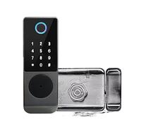 Cancello da giardino esterno con doppia impronta digitale, serratura Tuya o TTLock, codice di accesso tramite app, scheda IC, sicurezza domestica senza chiave(Waterproof)